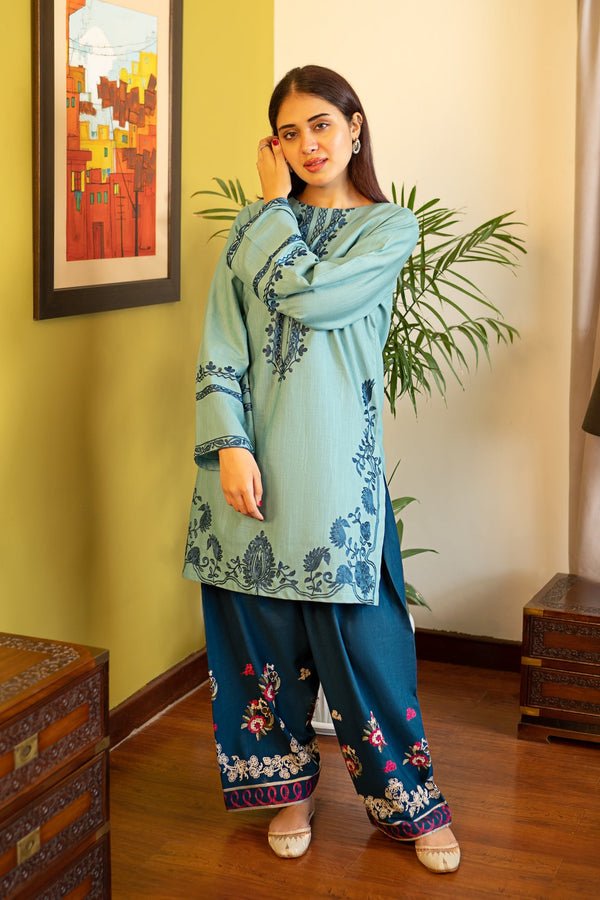 Winter Collection 2 piece unstitched fully embroidered dhanak fabric